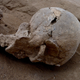 Illustration for article titled Discovery of Brutal Massacre Pushes Back History of Human Warfare
